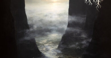 The distance within : 1er album de Harp - Under a Metal Sun