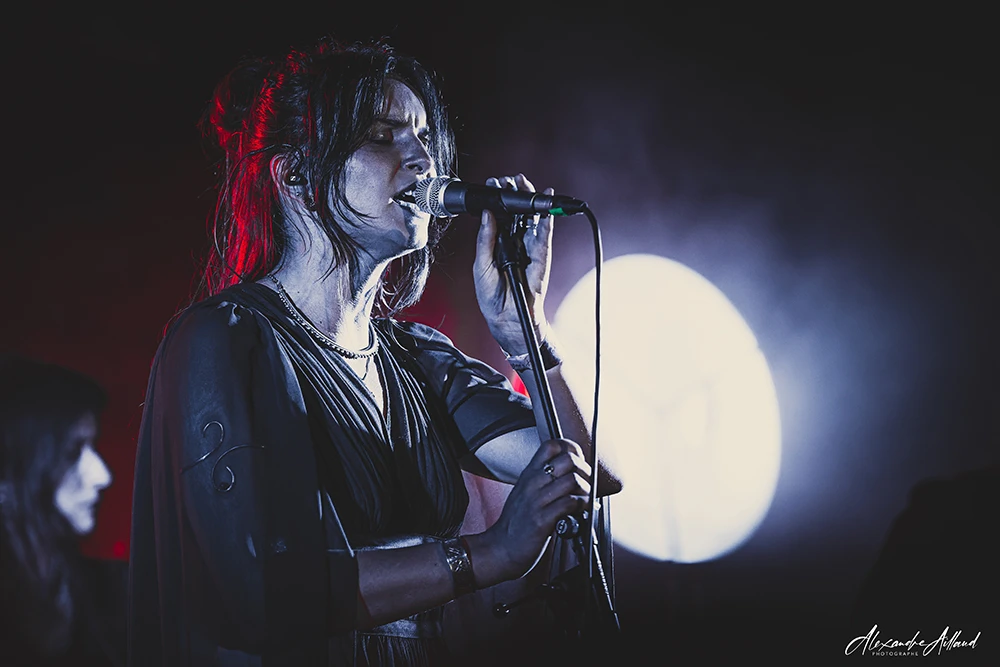 rhodanian-fest-silhouette--under-a-metal-sun-8486