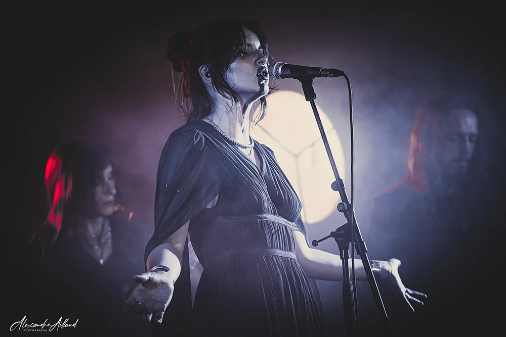 rhodanian-fest-silhouette--under-a-metal-sun-8521