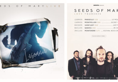 Seeds of Mary sort INSOMNIA, un nouvel extrait du live de sa release party